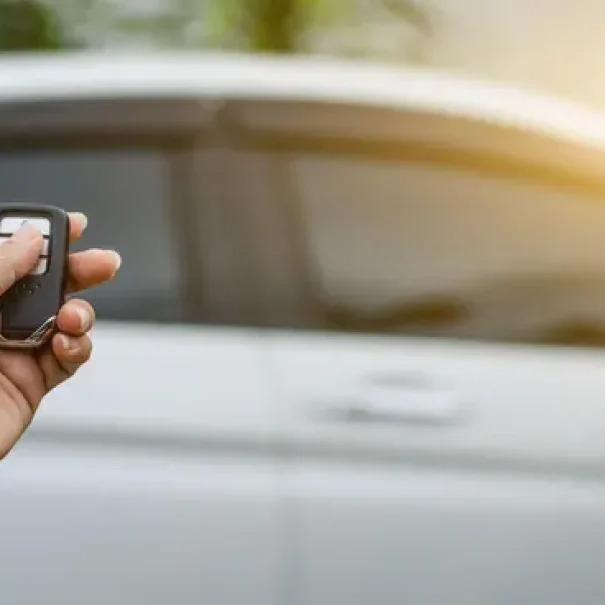 passive anti theft device